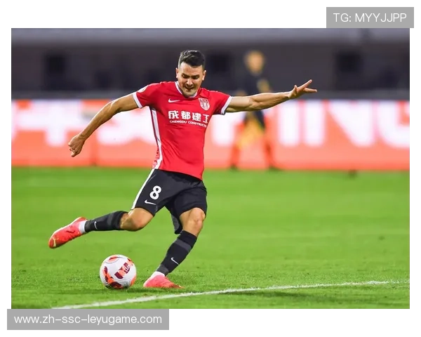 中超未来要走的路:职业化、透明度与可持续发展 中超未来要走的路:职业化、透明度与可持续发展